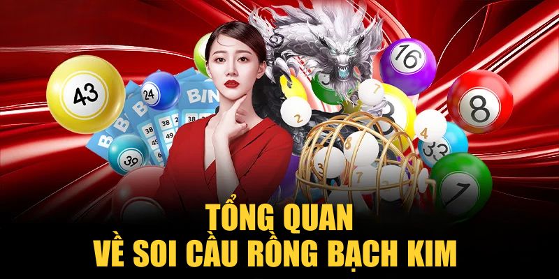 Tổng quan về soi cầu Rồng Bạch Kim