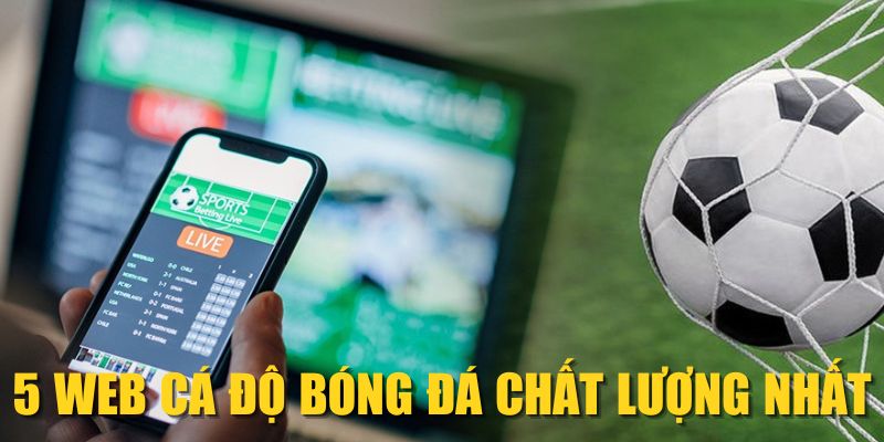 5 web cá độ bóng đá chất lượng nhất