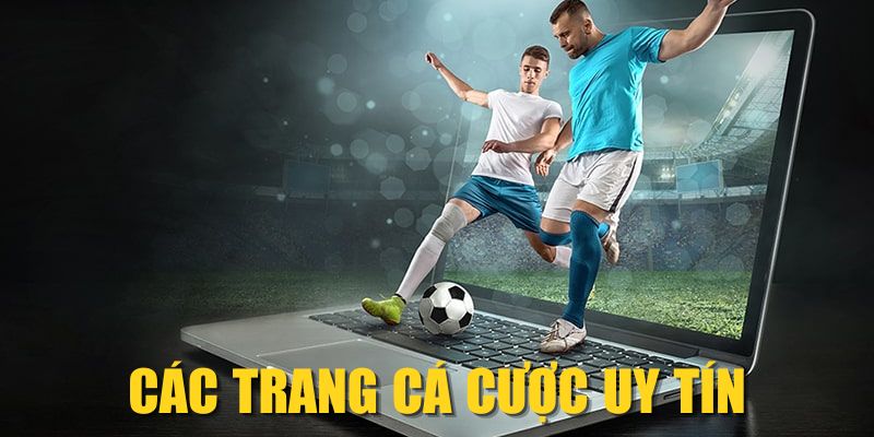 Các Trang Cá Cược Uy Tín| Top 5 Nhà Cái Bóng Đá Hàng Đầu