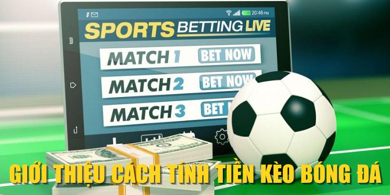 Giới thiệu cách tính tiền kèo bóng đá