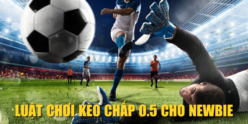 Luật chơi kèo chấp 0.5 cho newbie